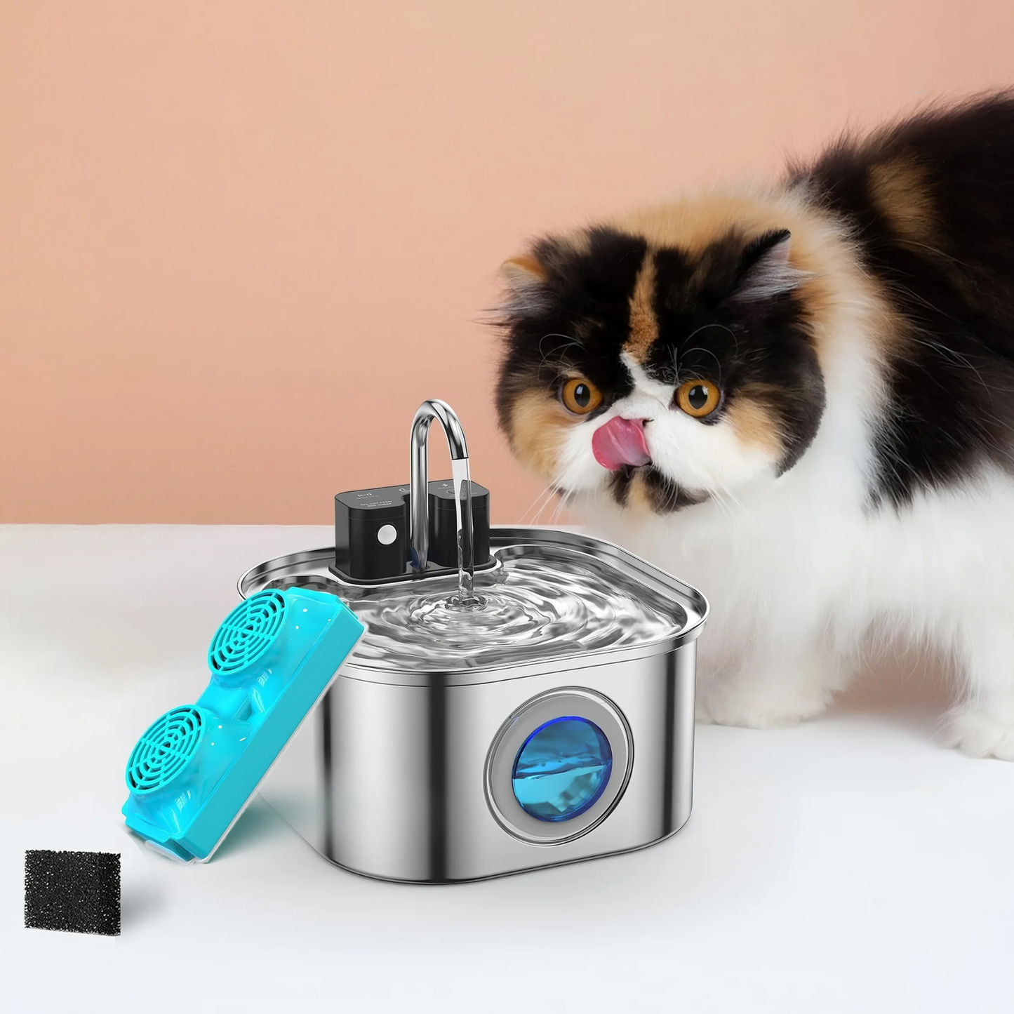 Fontaine à Eau pour Chat & Lot de Filtres de Rechange
