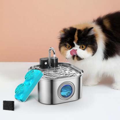 Fontaine à Eau pour Chat & Lot de Filtres de Rechange