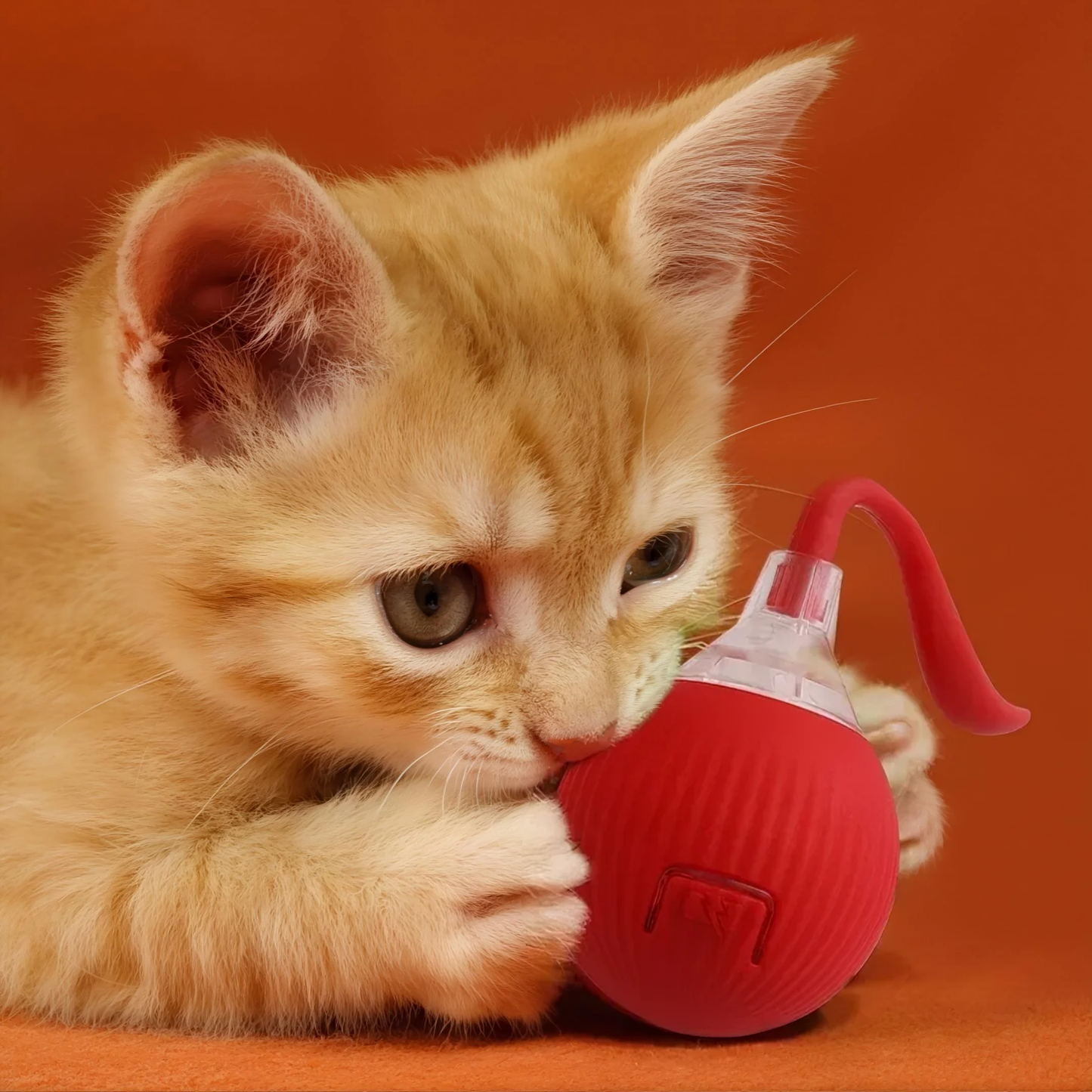 Balle de Jeu Intelligente pour Chat - Stimule l'Instinct Chasseur