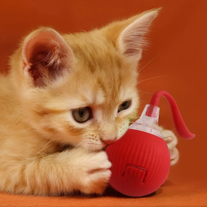 Balle de Jeu Intelligente pour Chat - Stimule l'Instinct Chasseur
