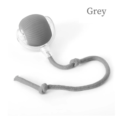 Balle de Jeu Intelligente pour Chat - Stimule l'Instinct Chasseur