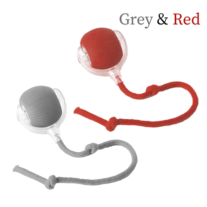 Balle de Jeu Intelligente pour Chat - Stimule l'Instinct Chasseur